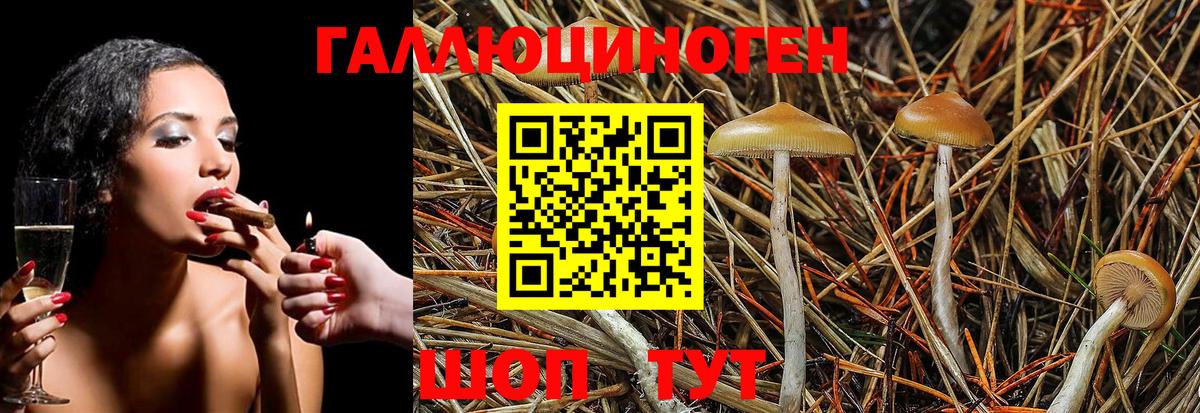 Галлюциногенные грибы мицелий  Вход с VPN  Кудрово 