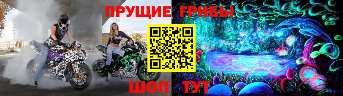 Галлюциногенные грибы Cubensis Кудрово